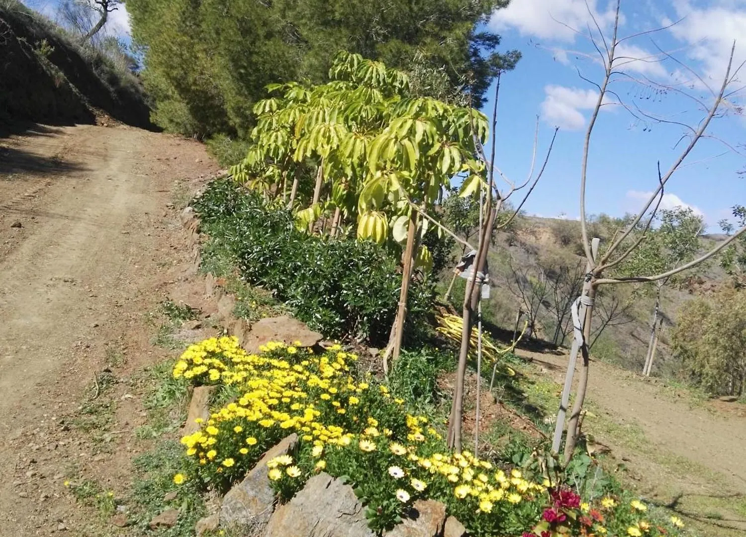 Holiday home Pinar El Almendra Villa Malaga
