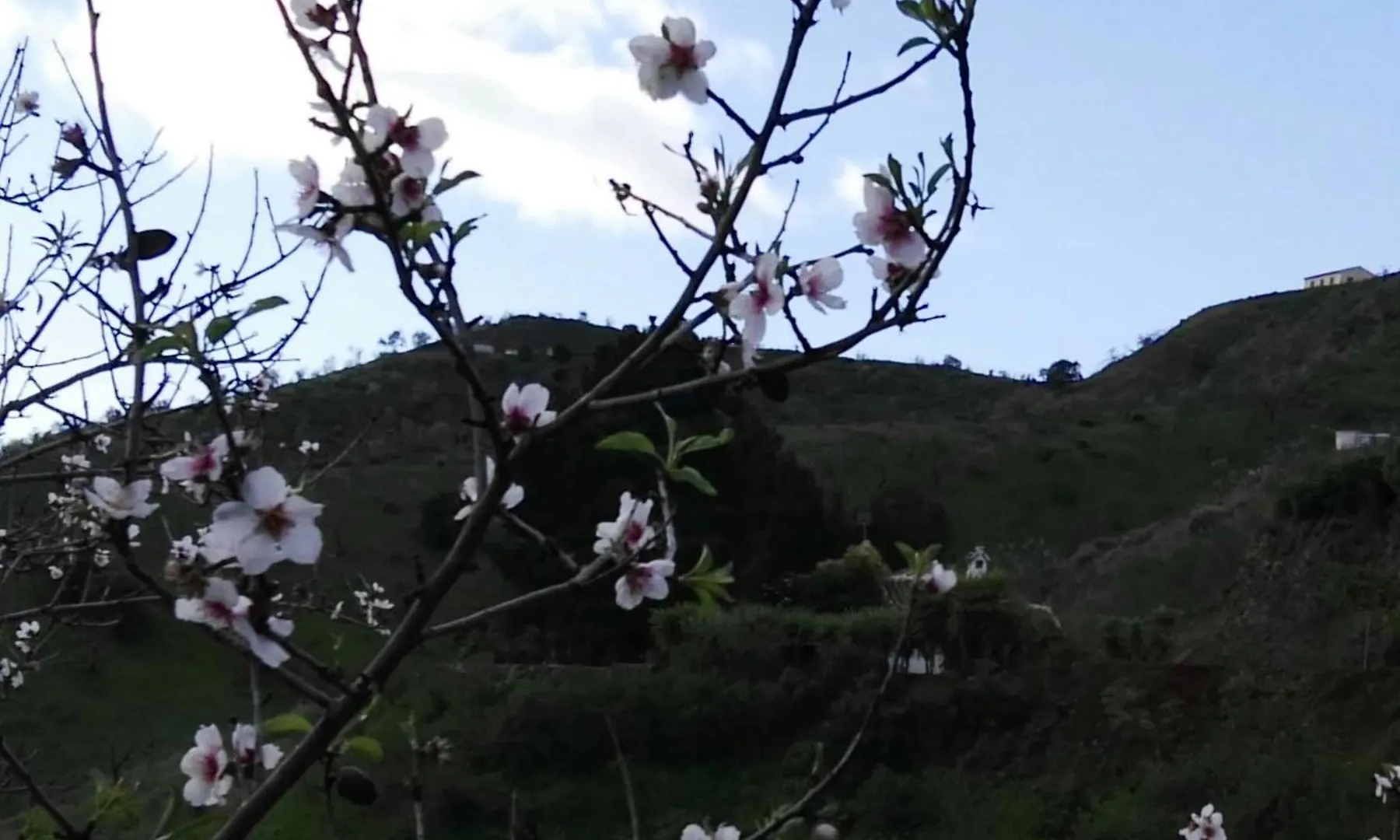 Pinar El Almendra Villa Malaga Holiday home