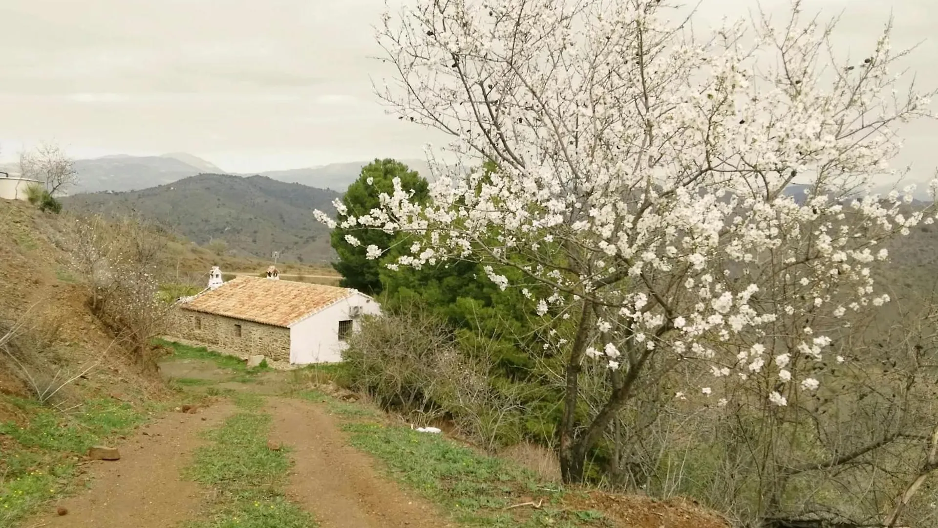 Pinar El Almendra Villa Malaga 0*,  Spain