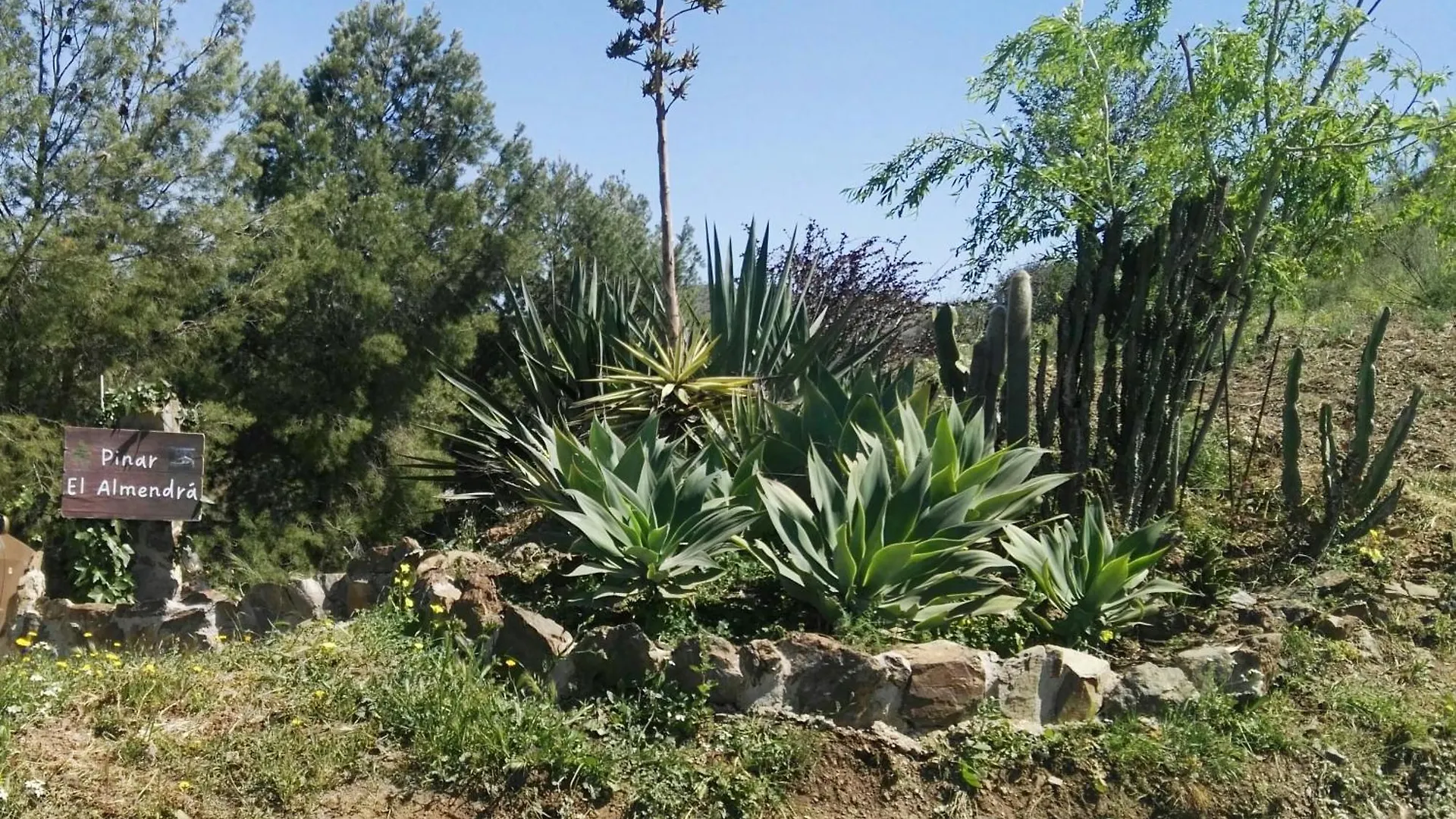 Pinar El Almendra Villa Malaga Holiday home