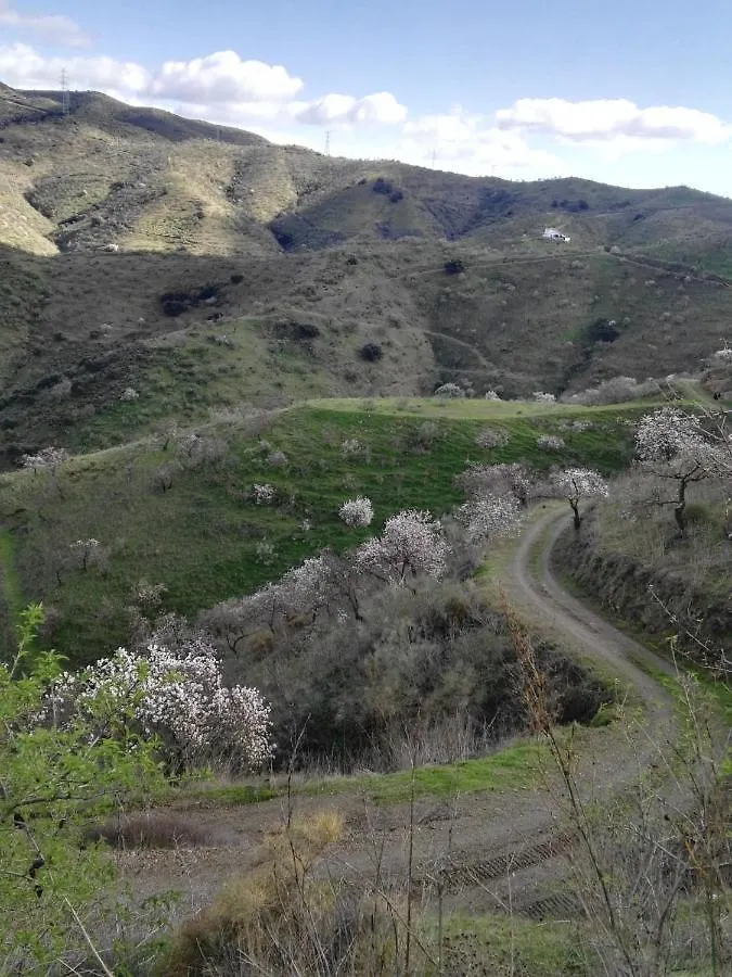 Σπίτι διακοπών Pinar El Almendra Βίλα Μάλαγα