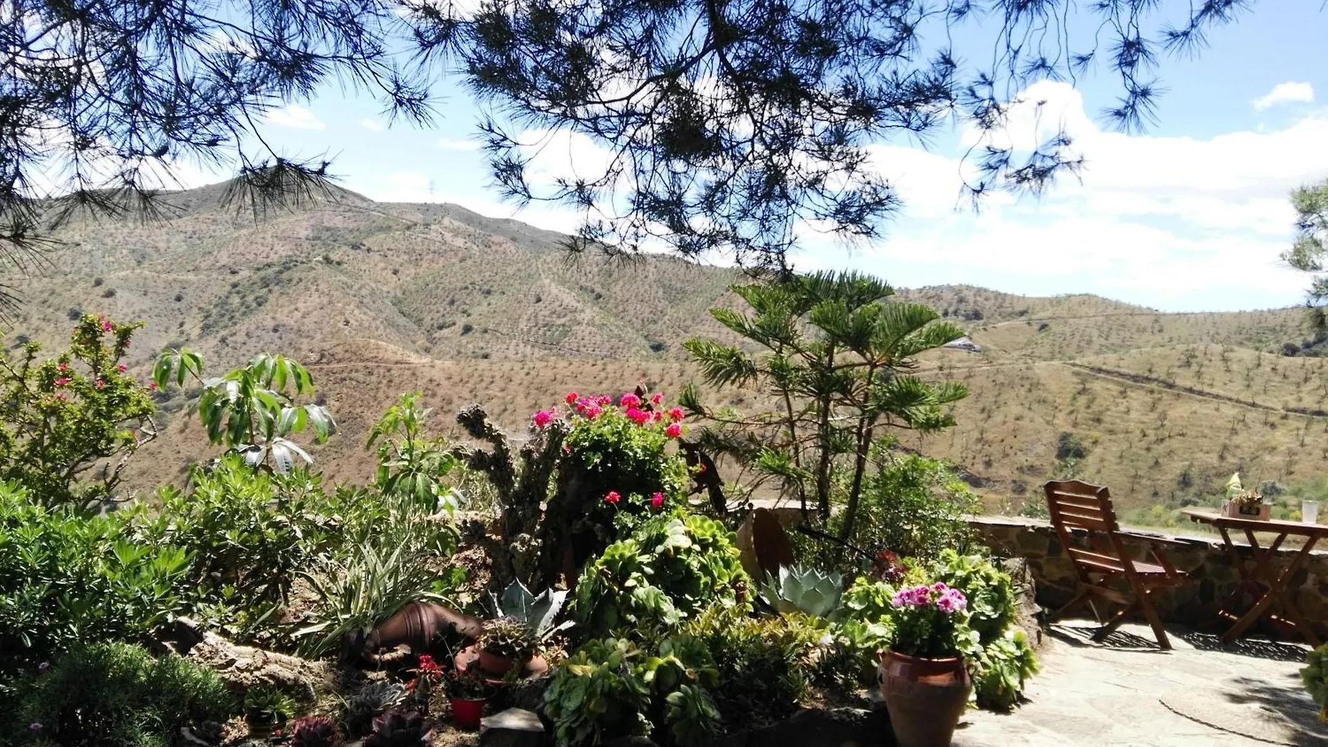 Σπίτι διακοπών Pinar El Almendra Βίλα Μάλαγα